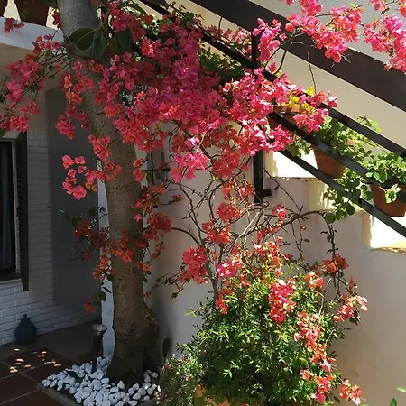 Casa Artola