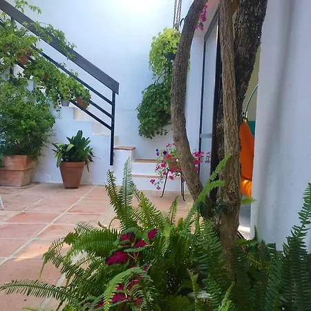 Casa Artola * マルベーリャ